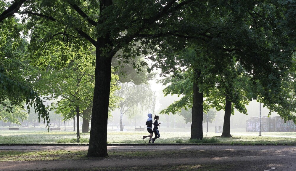 Fitness For Women Over 40