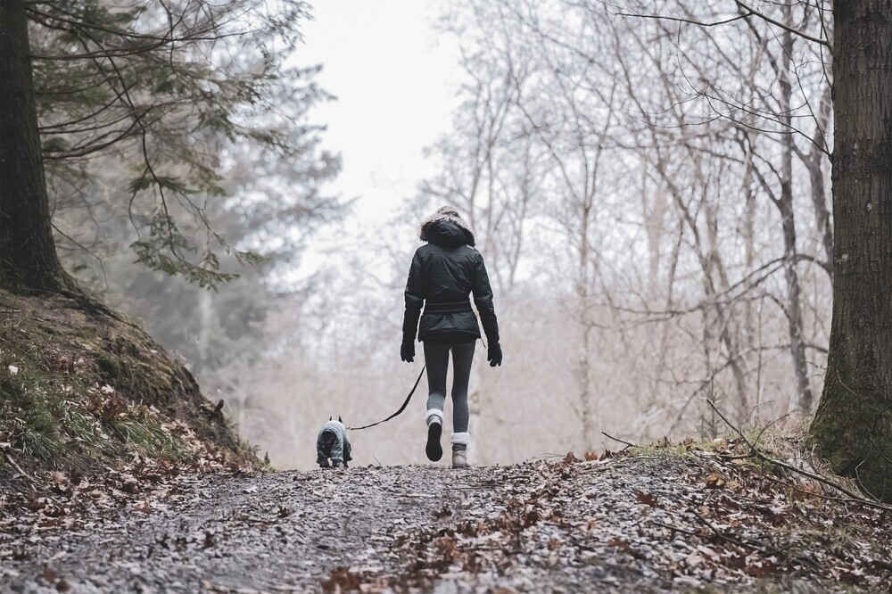Wellness Essentials For The Ultimate Self-Care Day