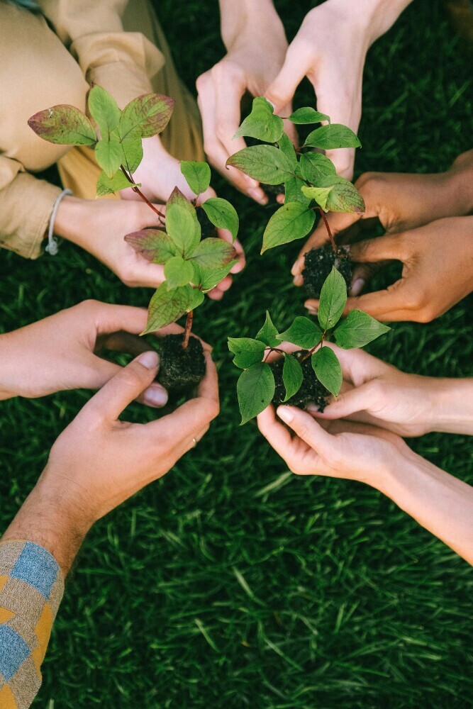 Transformative Travel: Engaging In Voluntourism Ventures